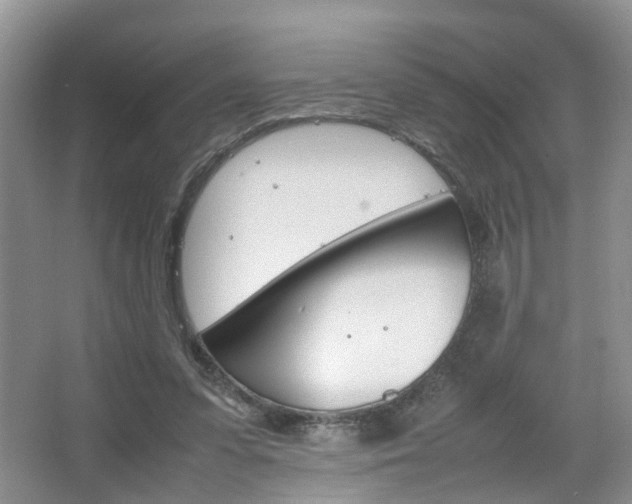 X0000067460303200604070934