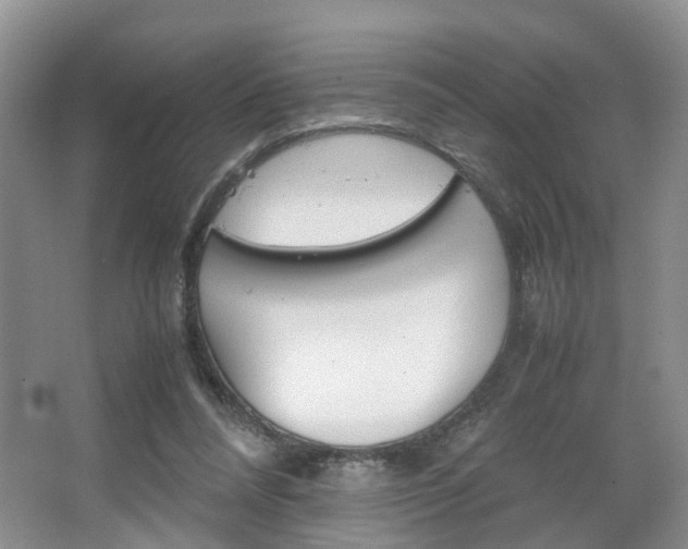 X0000067460304200604070934