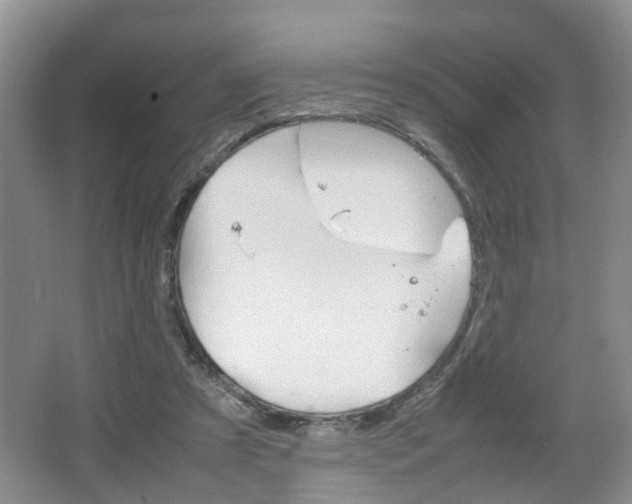 X0000067460305200604070933