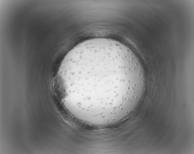 X0000067460307200604070933