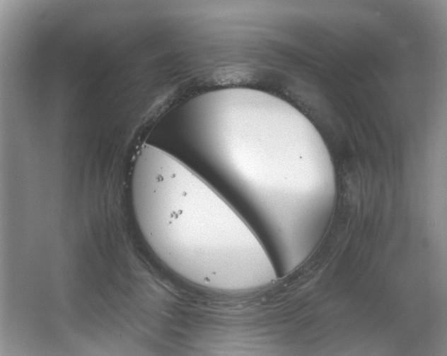 X0000067460308200604070933