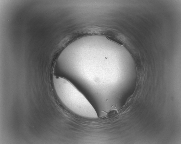 X0000067460309200604070933