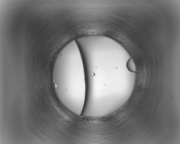 X0000067460310200604070933