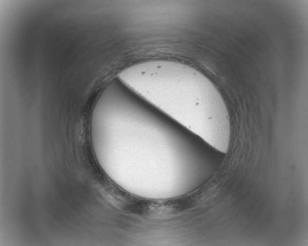 X0000067460311200604070933