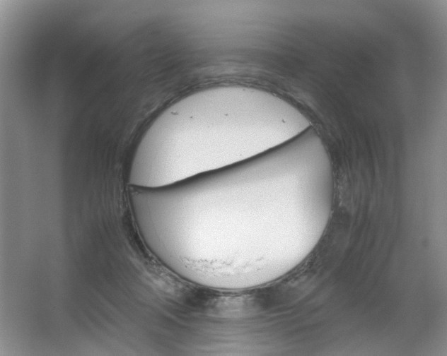 X0000067460314200604070933