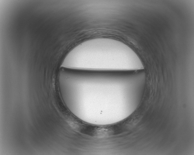 X0000067460315200604070933