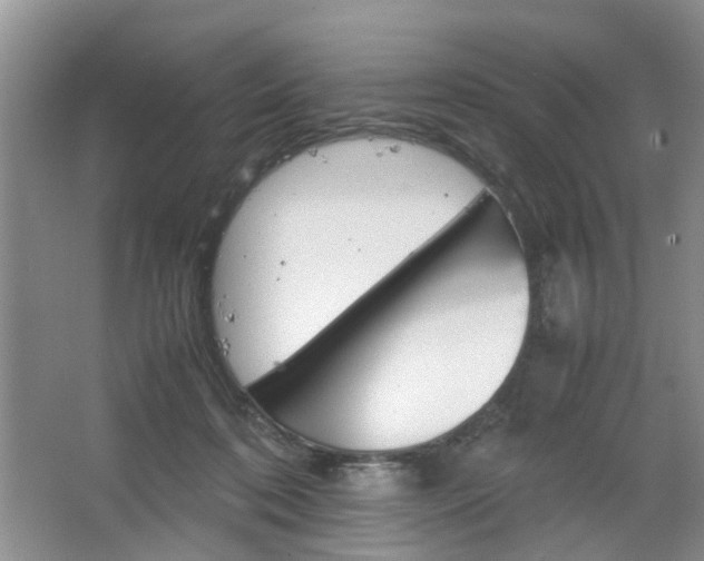 X0000067460316200604070933