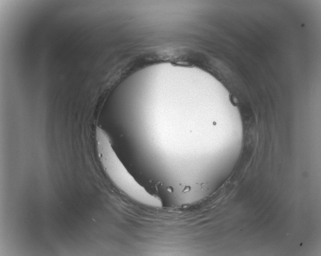 X0000067460317200604070933