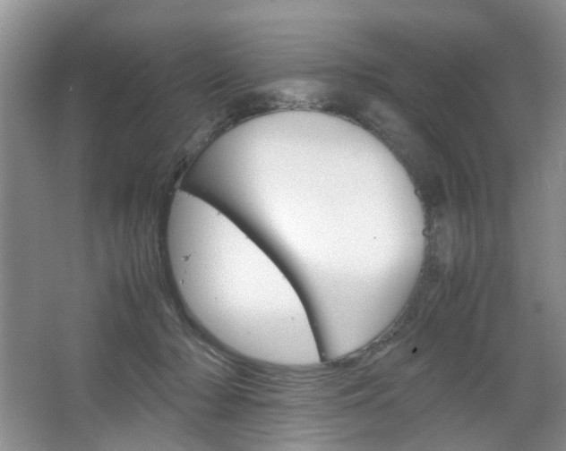 X0000067460318200604070933