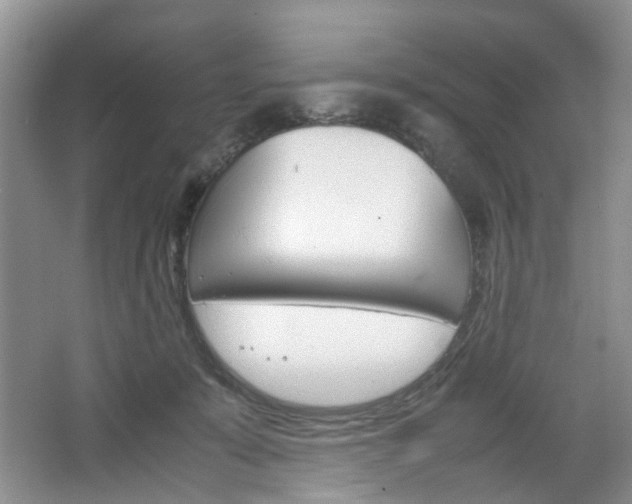 X0000067460319200604070933