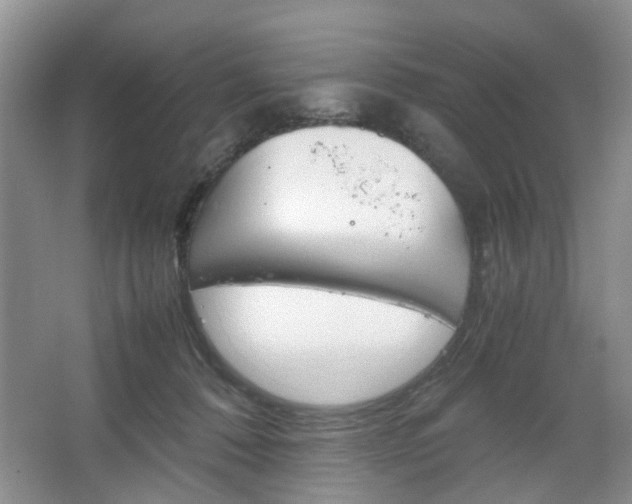 X0000067460320200604070933