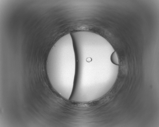 X0000067460322200604070933