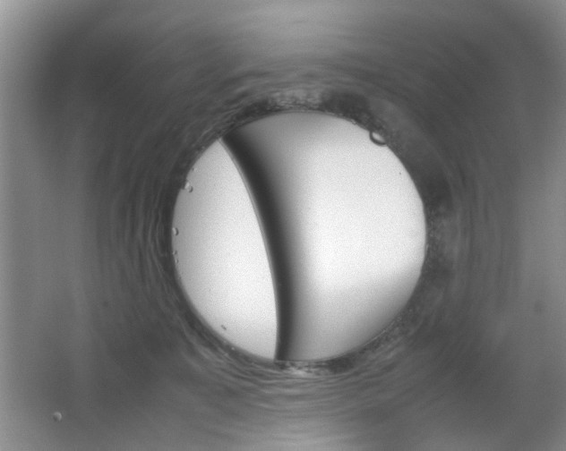 X0000067460323200604070933