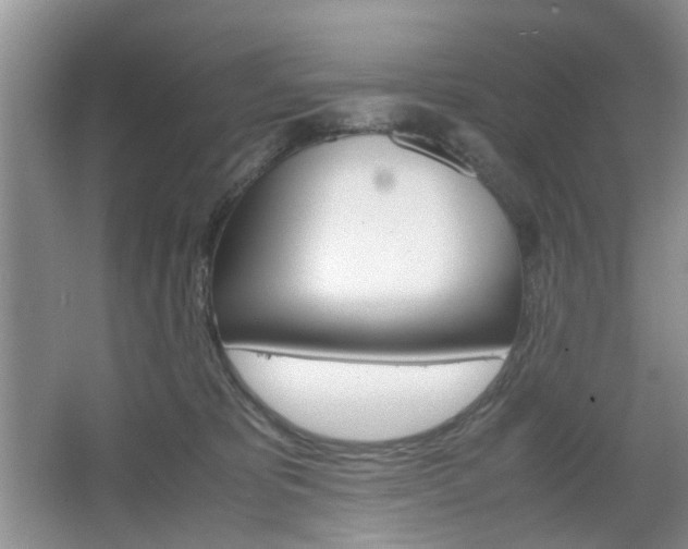 X0000067460325200604070933