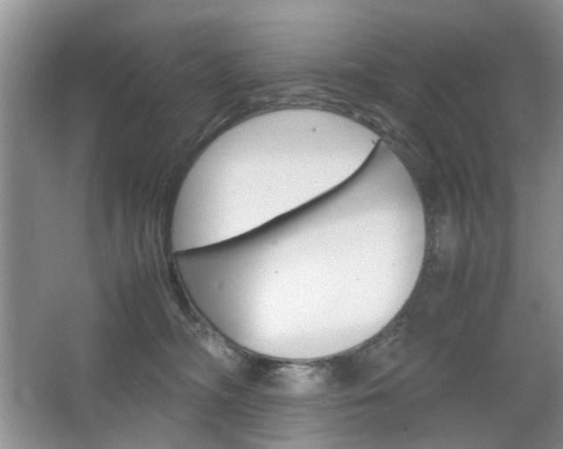 X0000067460326200604070933