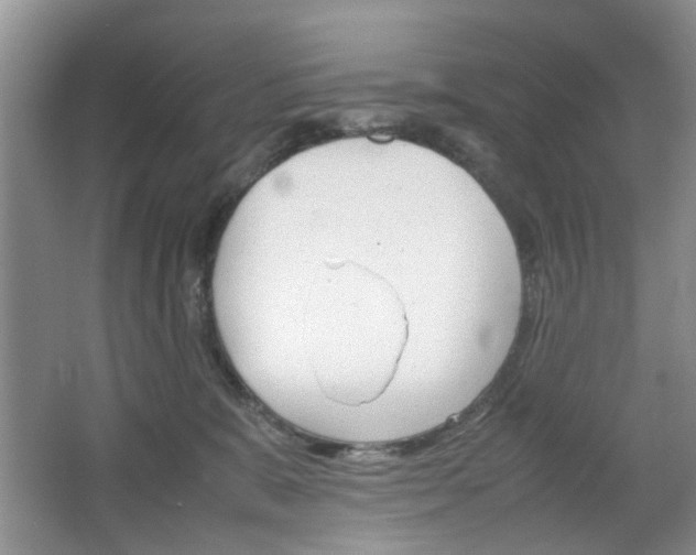 X0000067460327200604070933