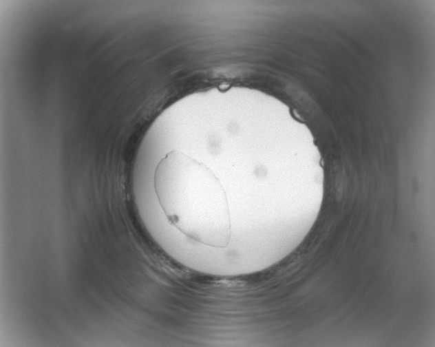 X0000067460328200604070933