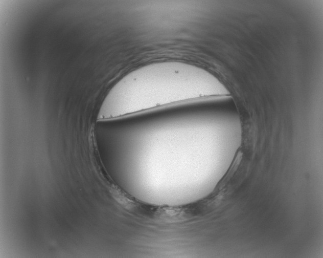 X0000067460329200604070933