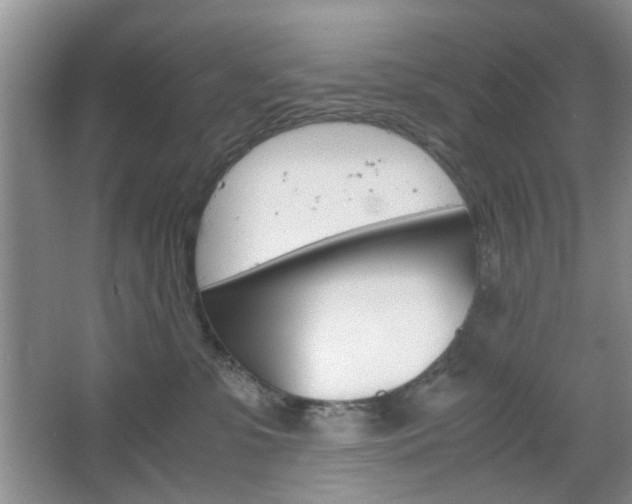 X0000067460331200604070933