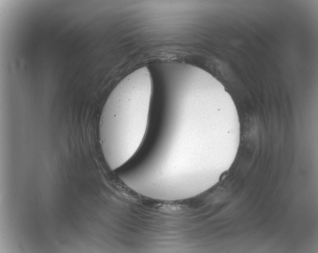 X0000067460332200604070933