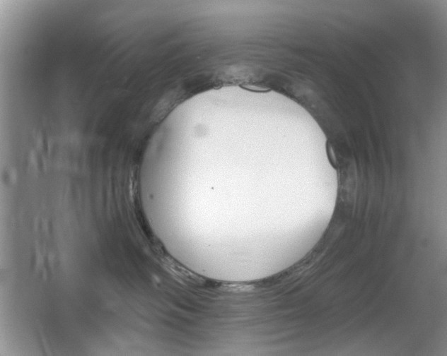 X0000067460334200604070933