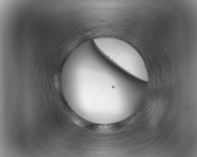 X0000067460335200604070933