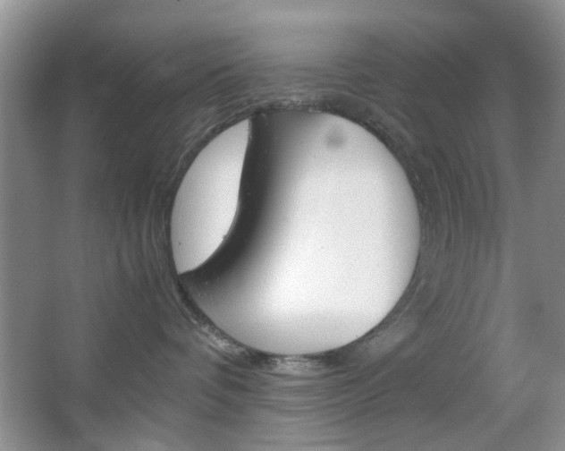 X0000067460336200604070933