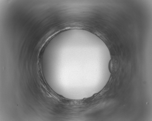 X0000067460338200604070932