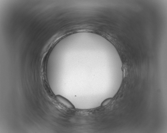 X0000067460339200604070932