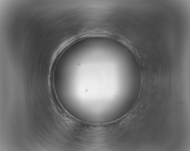 X0000067460340200604070932