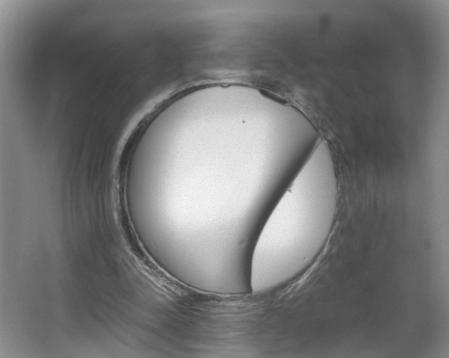 X0000067460342200604070932