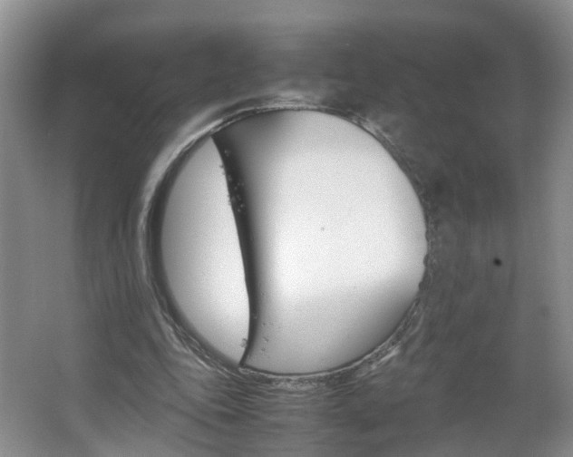 X0000067460343200604070932