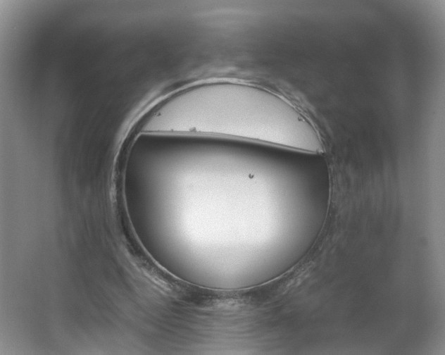 X0000067460344200604070932