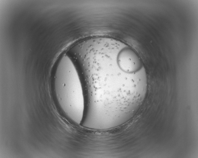 X0000067460346200604070932