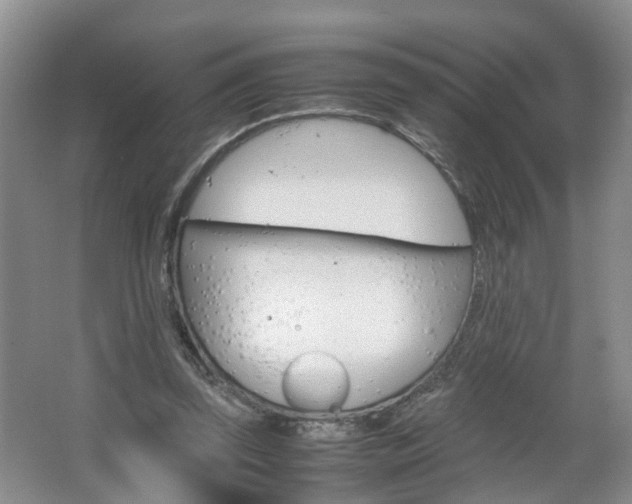 X0000067460347200604070932