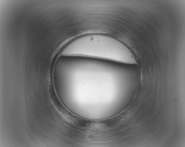 X0000067460348200604070932