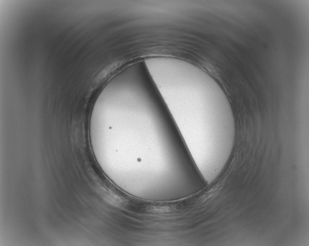 X0000067460349200604070932