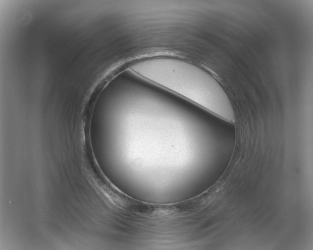 X0000067460350200604070932