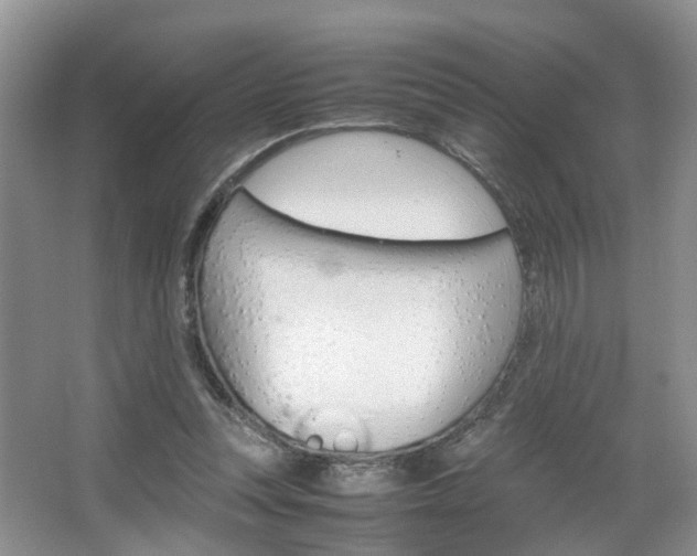 X0000067460351200604070932