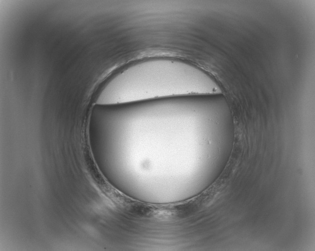 X0000067460352200604070932