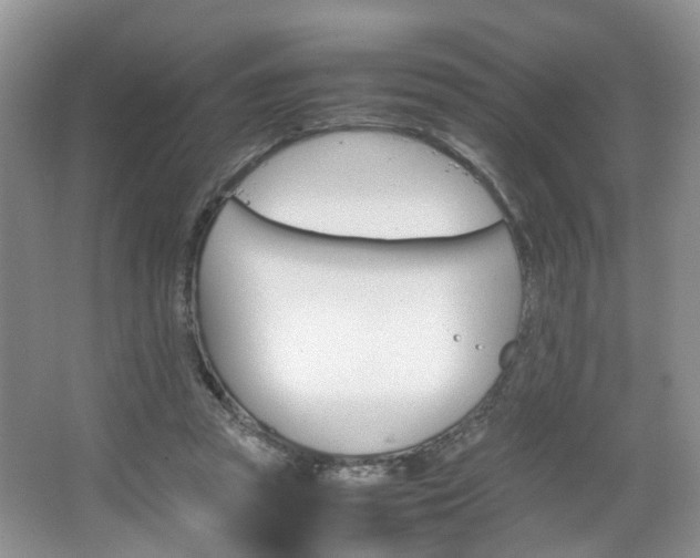 X0000067460353200604070932