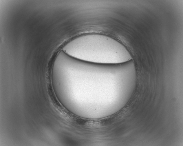 X0000067460354200604070932