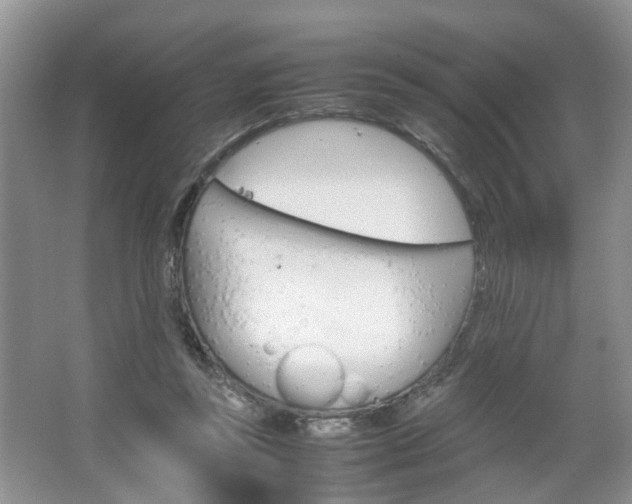 X0000067460355200604070932