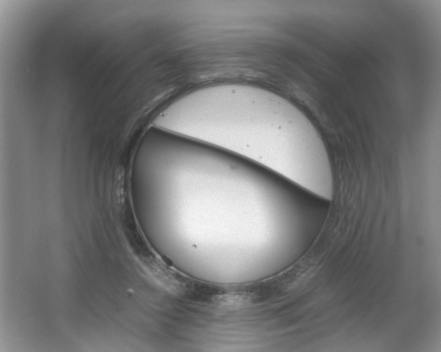 X0000067460356200604070932