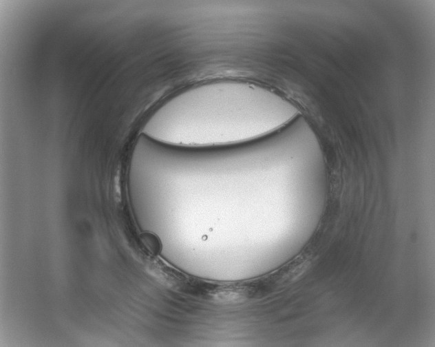 X0000067460358200604070933