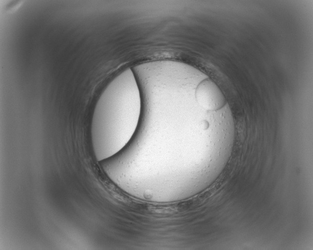 X0000067460359200604070933