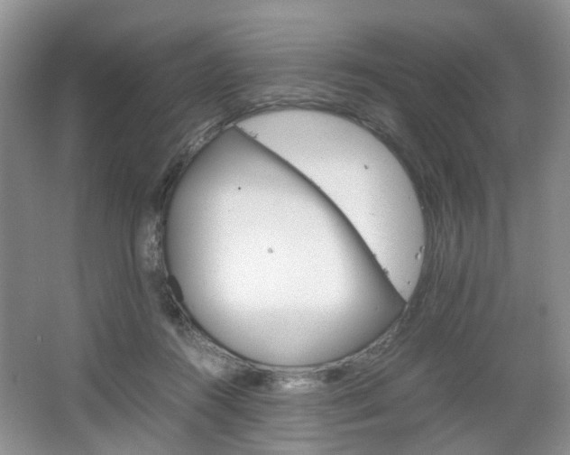 X0000067460360200604070933