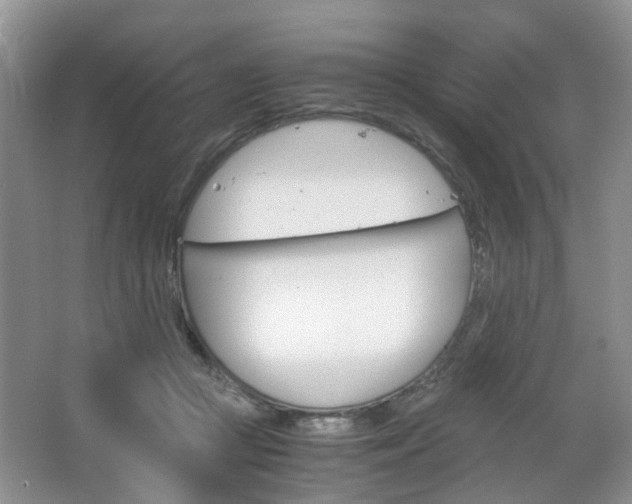 X0000067460361200604070933