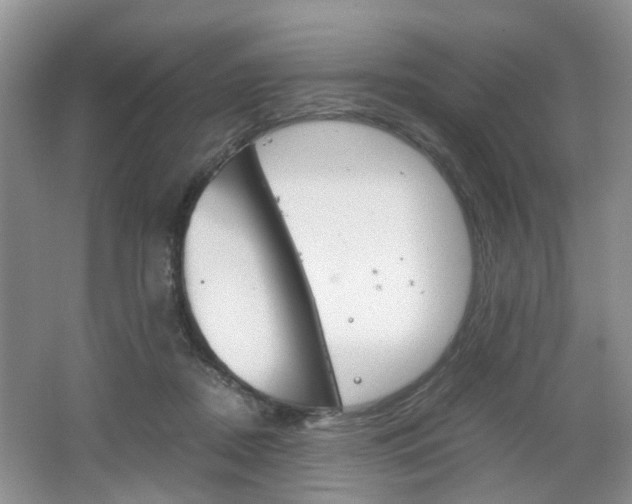 X0000067460362200604070933