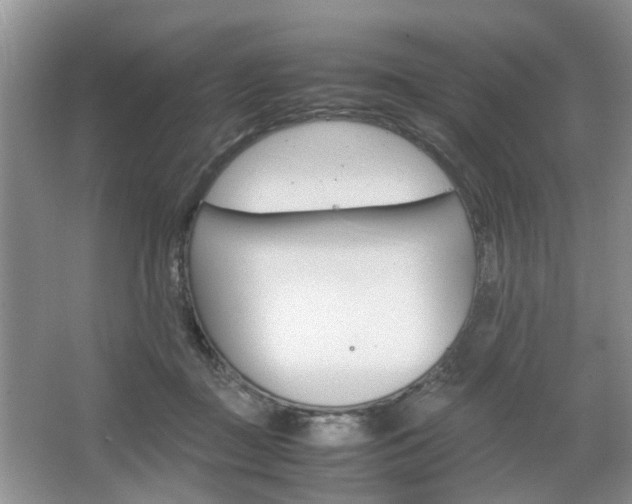 X0000067460363200604070933